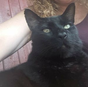 Meet your Posher, Sharon